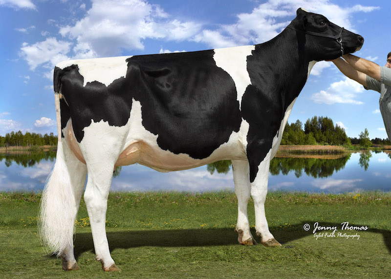3.M. Ladys-Manor MG Suzanne-ET EX-92-USA